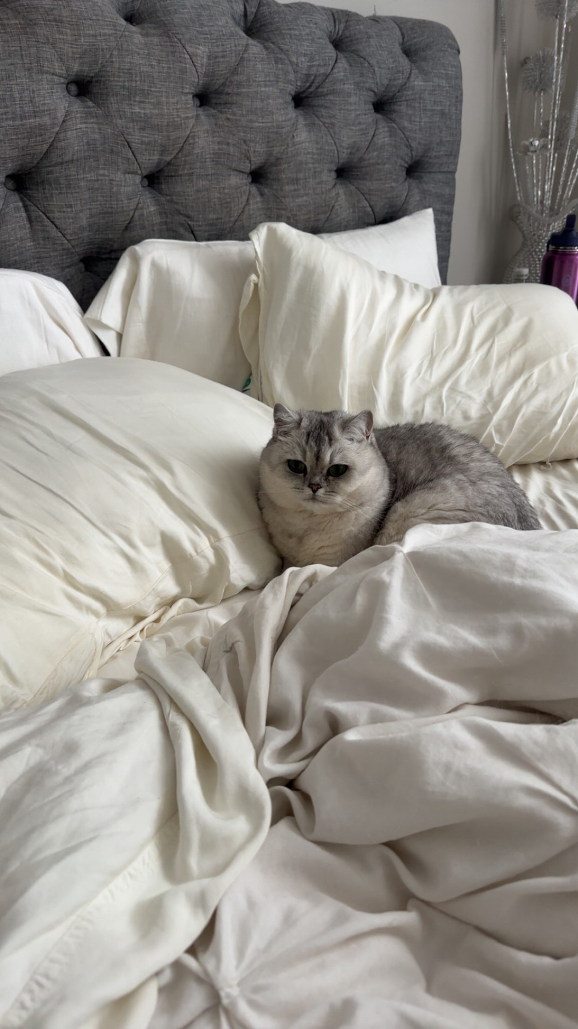 The absolute softest sheets 🫶🏽

#LTKHome #LTKdayinmylife #LTKselfcare