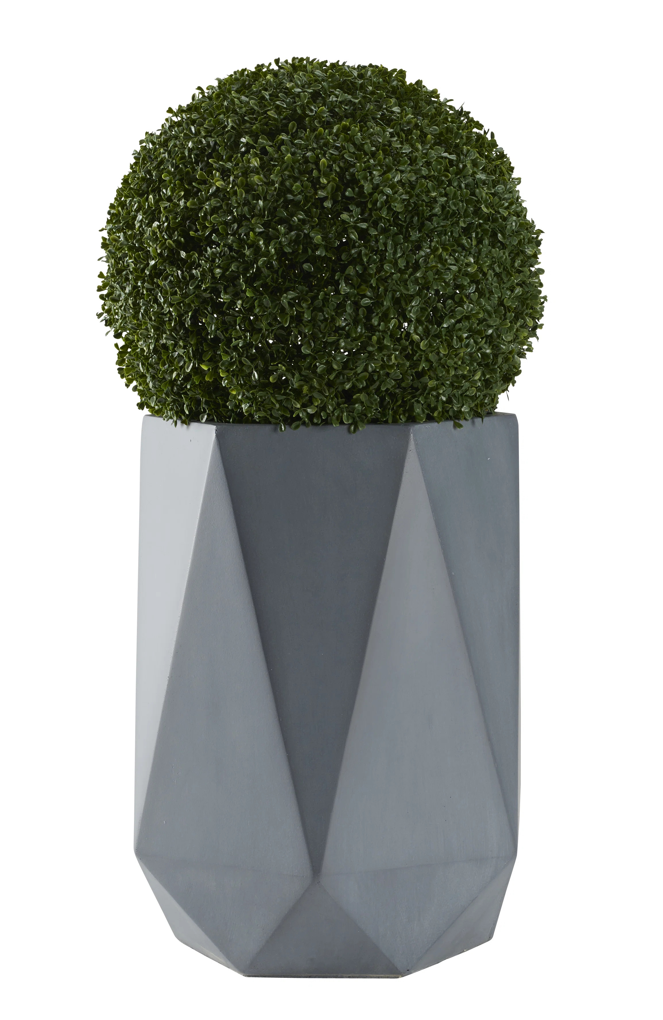 Faux Boxwood Plant in Planter | Wayfair North America