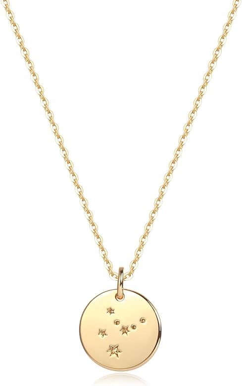 Mevecco Dainty 12 Constellation Necklace,14K Gold Horoscope Disc Minimalist Simple Necklace for W... | Amazon (US)