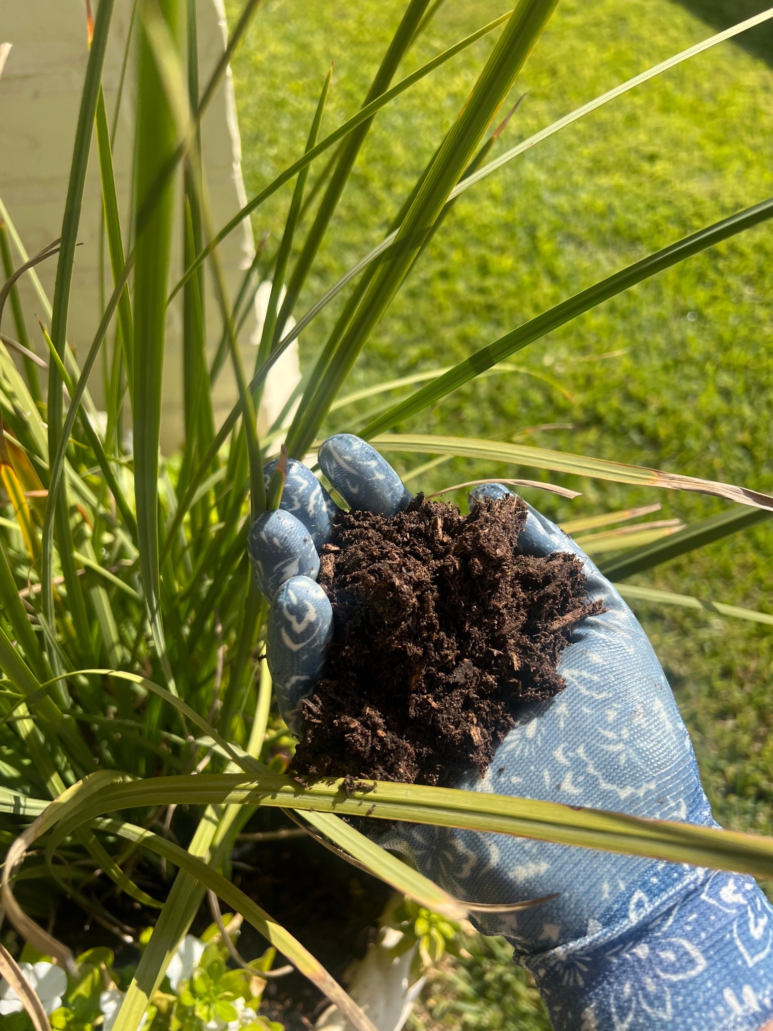 Blue gardening gloves and clogs set
Gift idea

#LTKHome #LTKValentine #LTKOver40