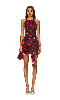 Amanda Uprichard Selah Dress in Sorrel Burnout from Revolve.com | Revolve Clothing (Global)