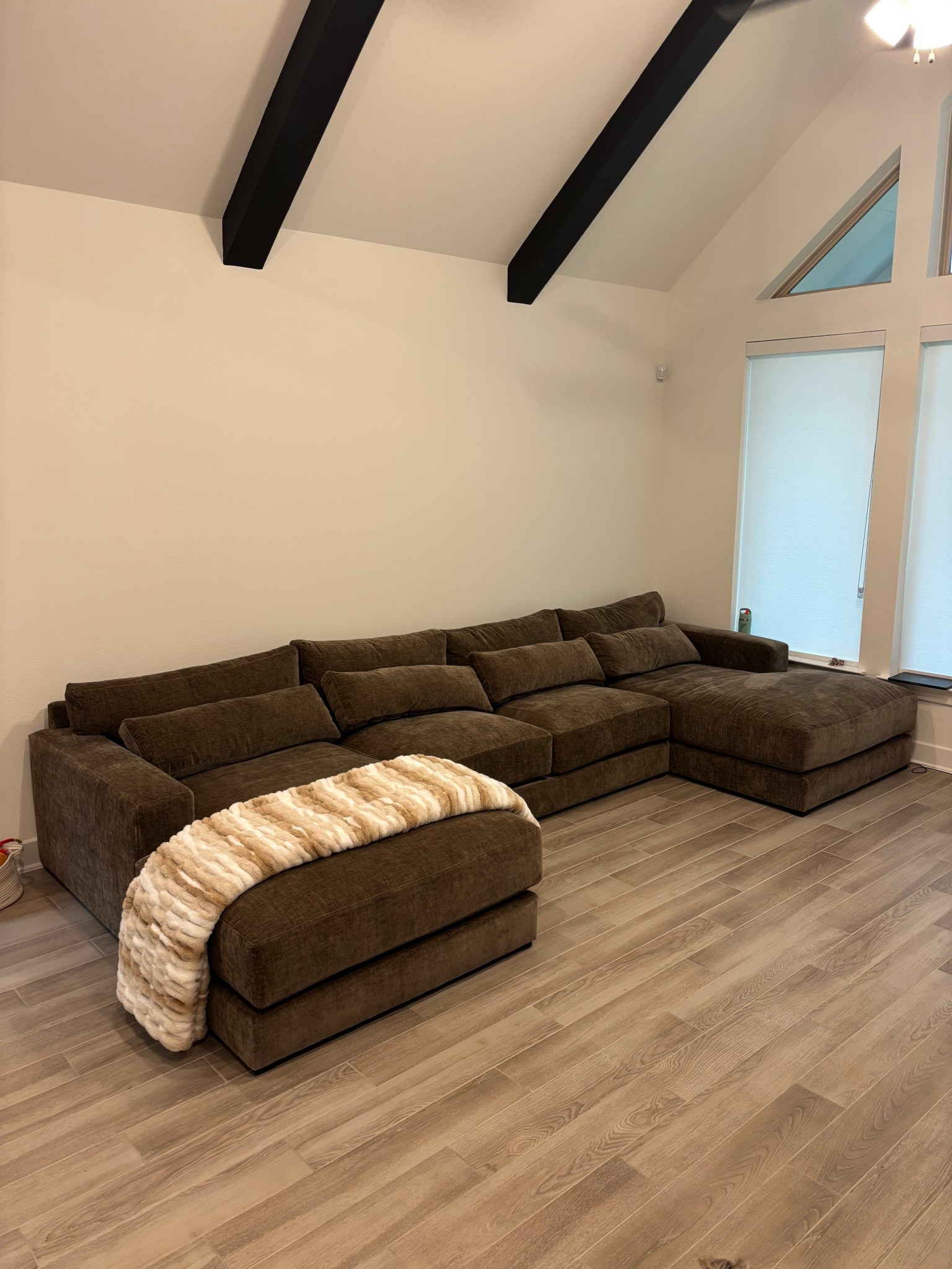 ALL NEW HOME FINDS 🏠