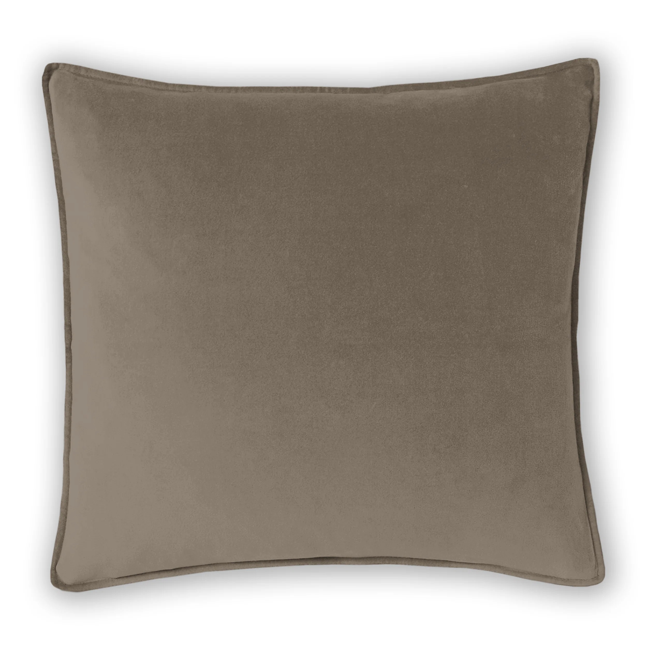 The Tailor's Bed Alla Square Velvet Pillow Cover & Insert & Reviews | Wayfair | Wayfair North America