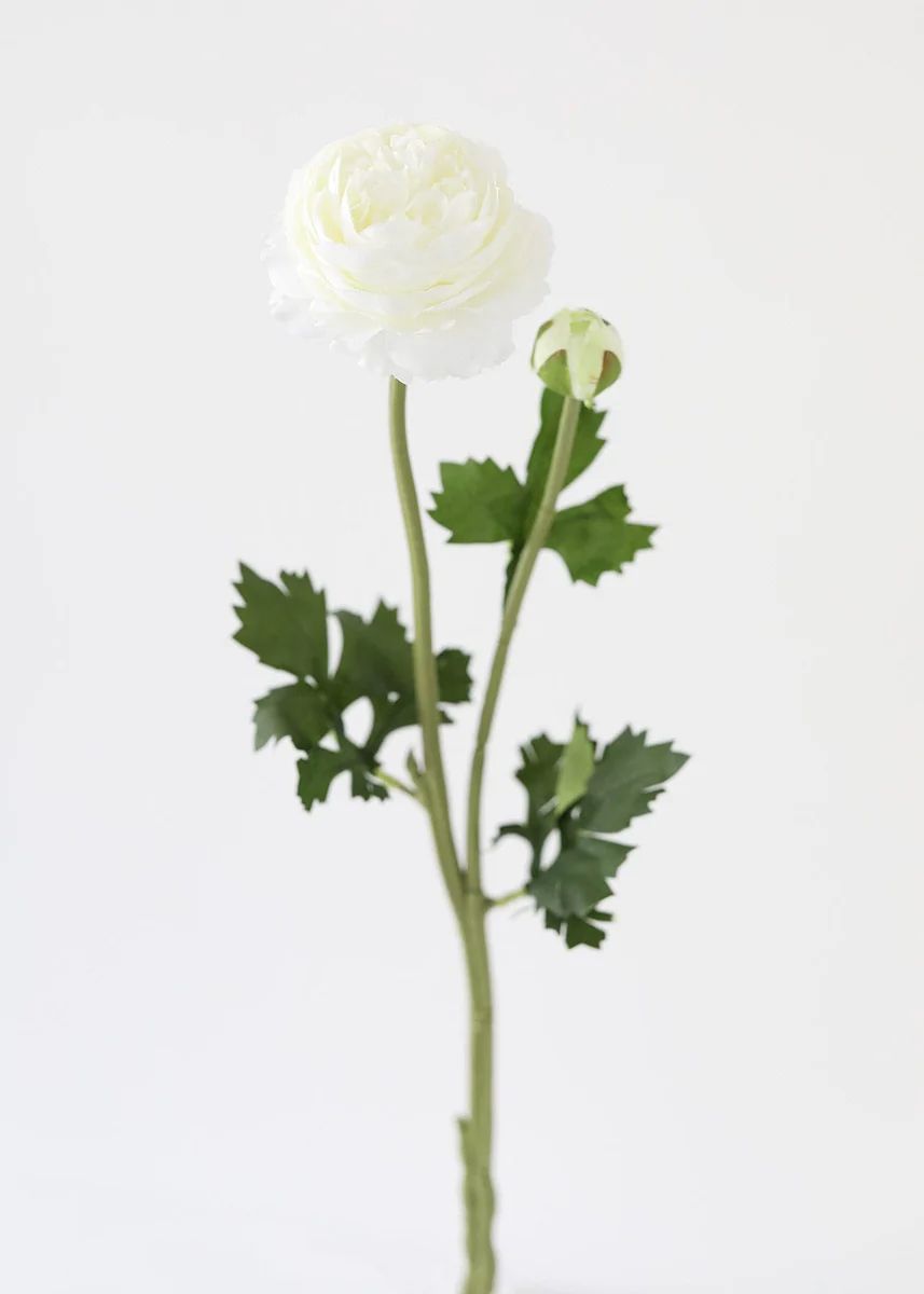 Cream White Ranunculus Silk Flower - 18.75 | Afloral