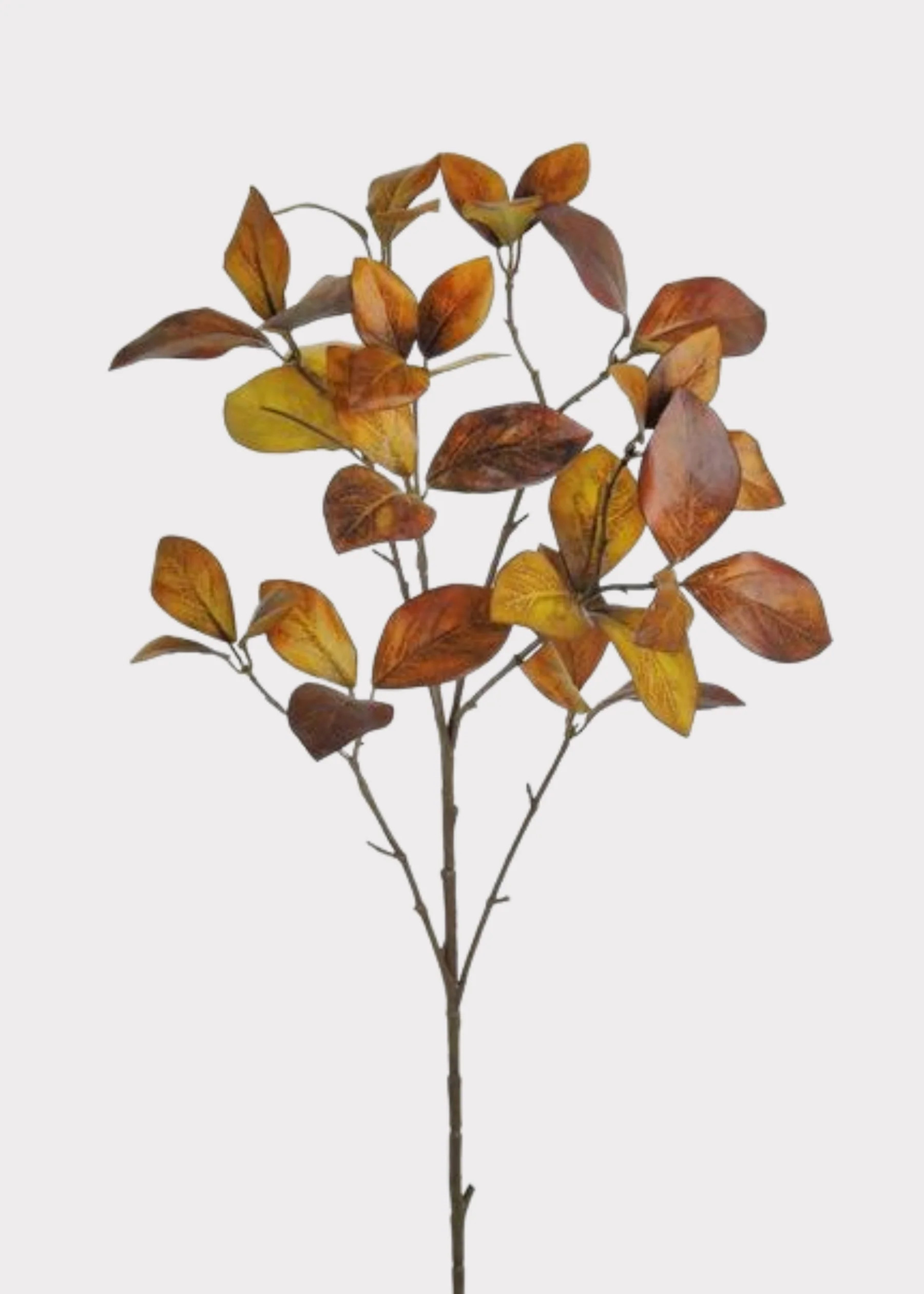 Warm Brown Enkianthus Leaf Branch | Premium Fake Fall Leaves | Afloral | Afloral