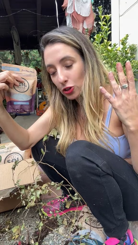 Grow better, greener – SOL Soils. Grab it on LTK 

 #LTKSeasonal #LTKU #LTKHome