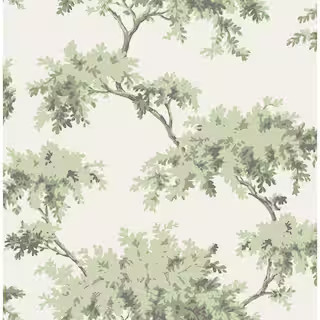 NuWallpaper Sage Alder Matte Vinyl Peel and Stick Wallpaper NUS4473 - The Home Depot | The Home Depot