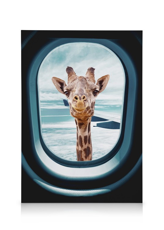 Peek-A-Boo Giraffe Canvas | Desenio