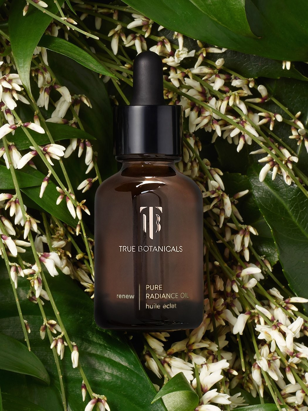Renew Pure Radiance Oil | True Botanicals, LLC