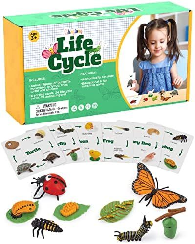 GLINGLONG Life Cycle Kit Toy Montessori - Realistic Figurine Toys, Kids Figure Animal Match Set w... | Amazon (US)