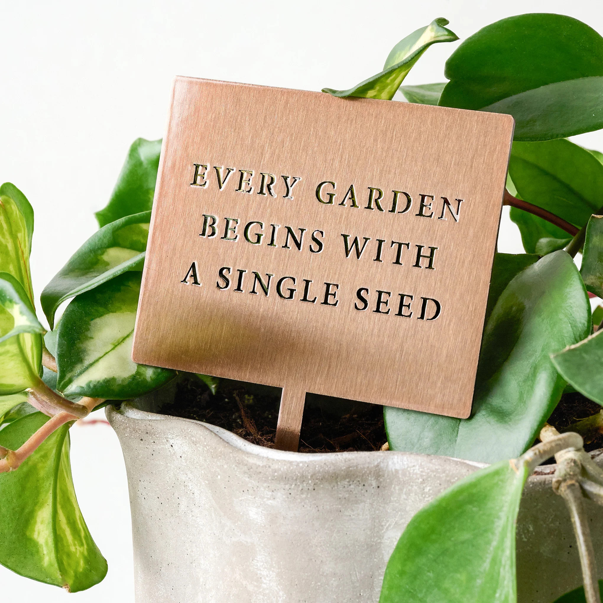 Single Seed Mini Garden Stake | Magnolia