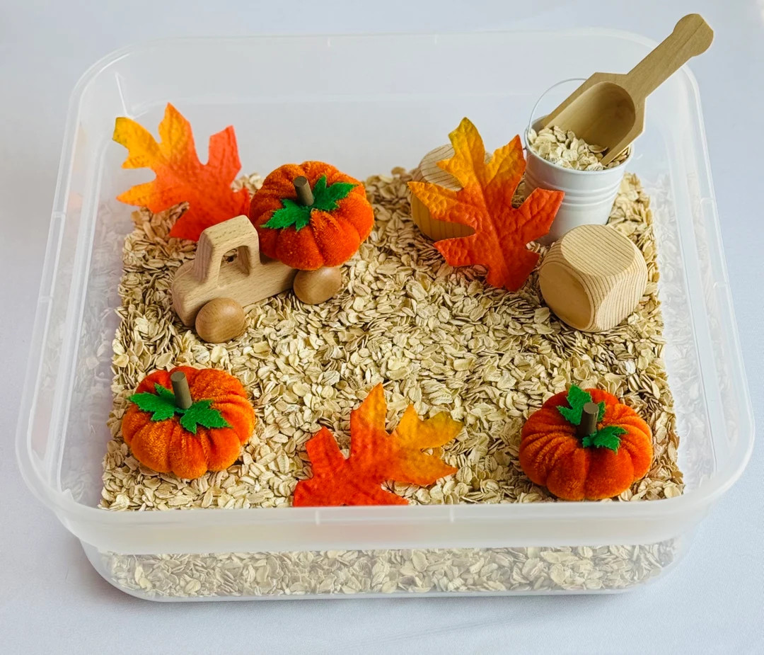 My First Sensory Bin Fall / Pumpkin Patch - Etsy | Etsy (US)