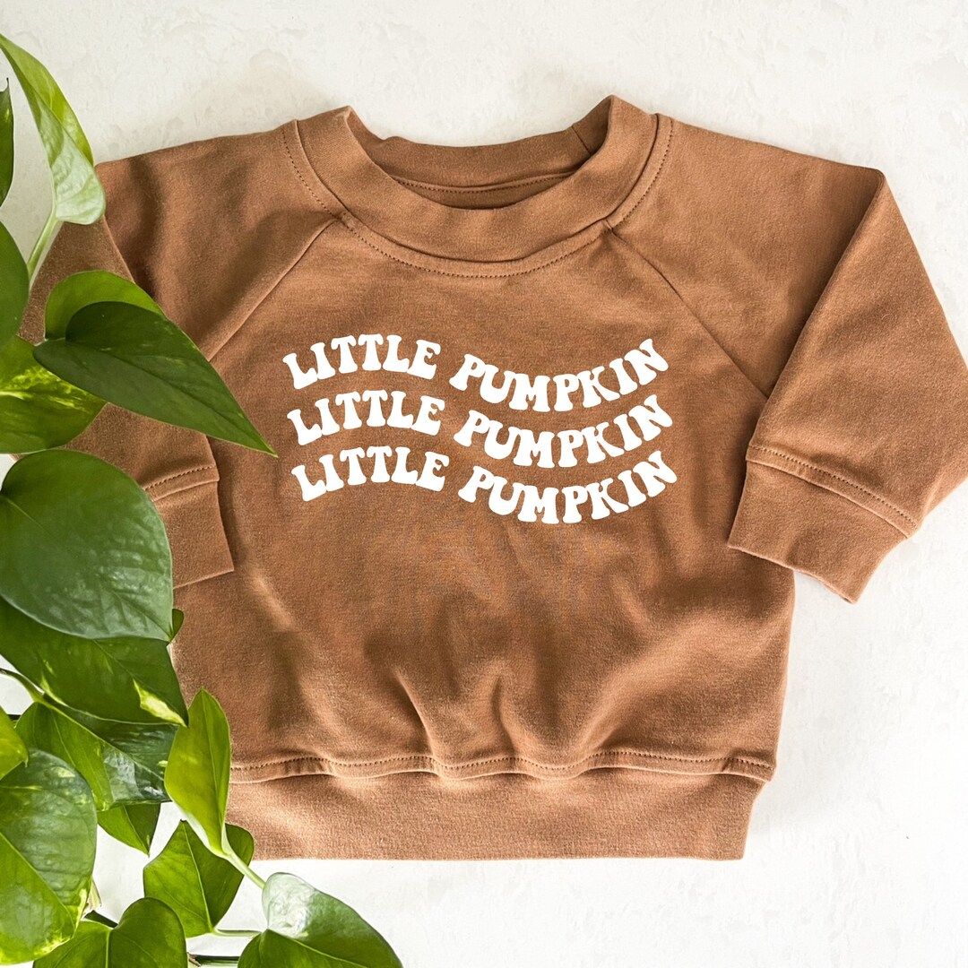 Little Pumpkin Organic Pullover Baby / Toddler Sweatshirt - Etsy | Etsy (US)