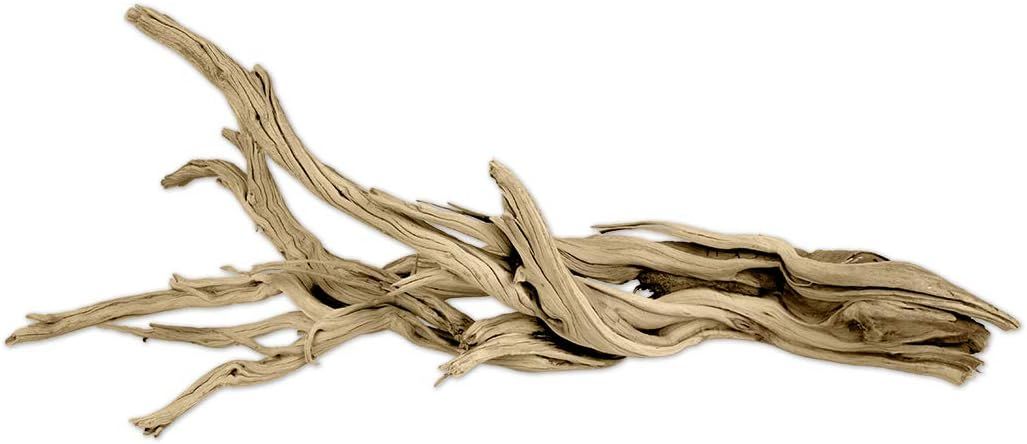 Koyal Wholesale California Driftwood with Natural Brown Branches, 12-Inch | Amazon (US)