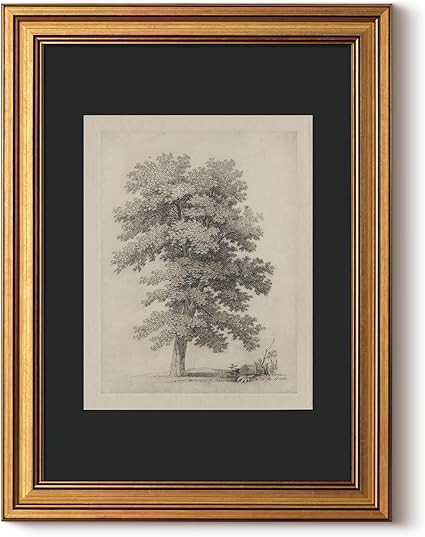 InSimSea Vintage Gold Framed Canvas Wall Art Majestic Oak Tree Illustration Botanic Pritns Farmho... | Amazon (US)