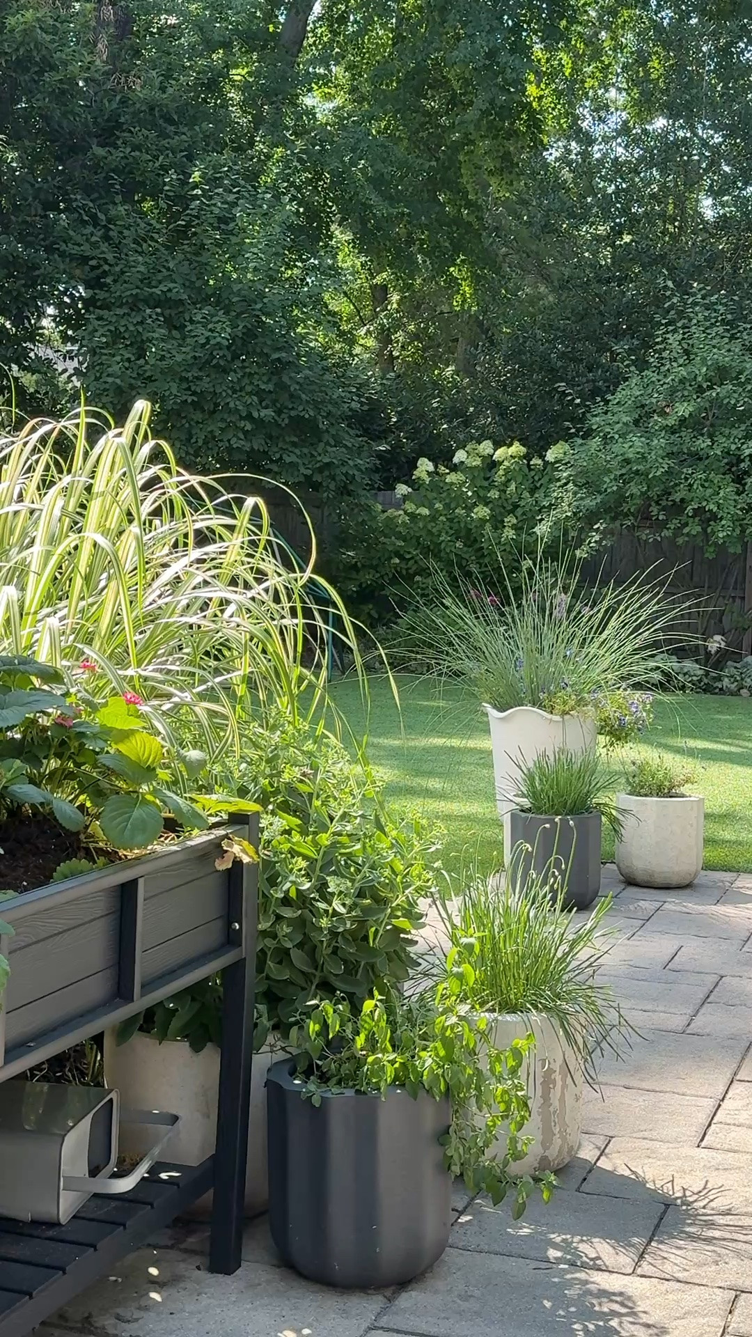 Afternoon in the garden ☀️

Linking all of our planters that are still in stock! A great mix of high and low.

Backyard, spring, outdoor decor, backyard inspo, GIRLONTHEHUDSON, outdoor decor, backyard inspo, Serena & Lily furniture, summer inspo, backyard design, outdoor furniture, outdoor rug, loloi

#LTKSaleAlert #LTKHome #LTKvlog