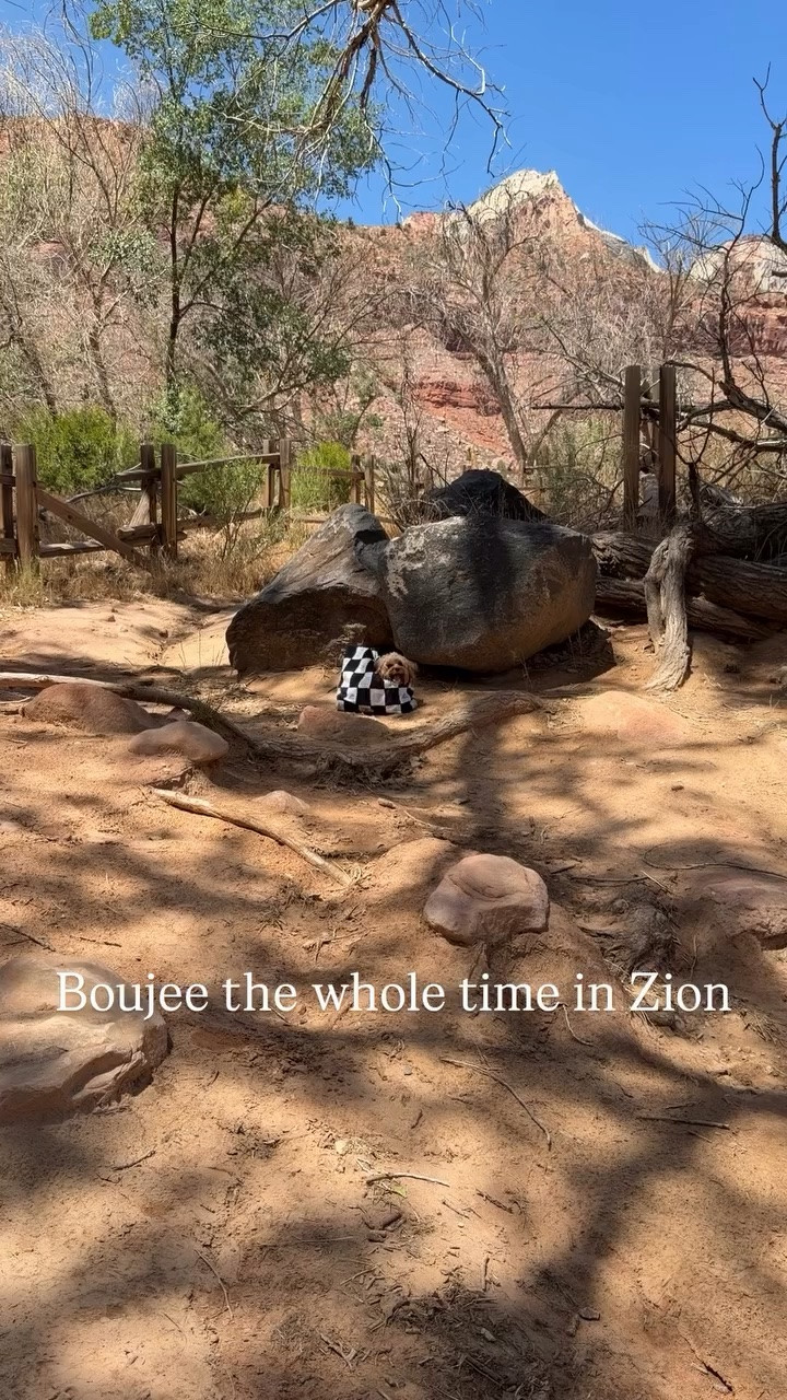 Boujee the whole time in Zion