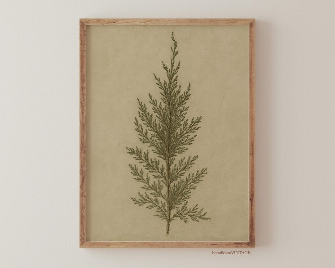 Vintage Botanical Print – Printable Wall Art, Juniper and Pine Tree Illustration, Antique Natur... | Etsy (US)