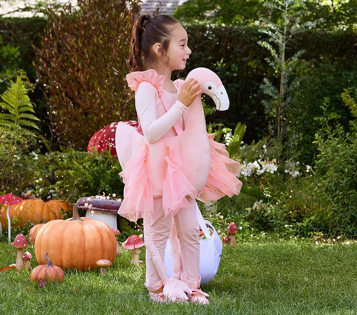 Flamingo Ride-On Halloween Costume | Pottery Barn Kids