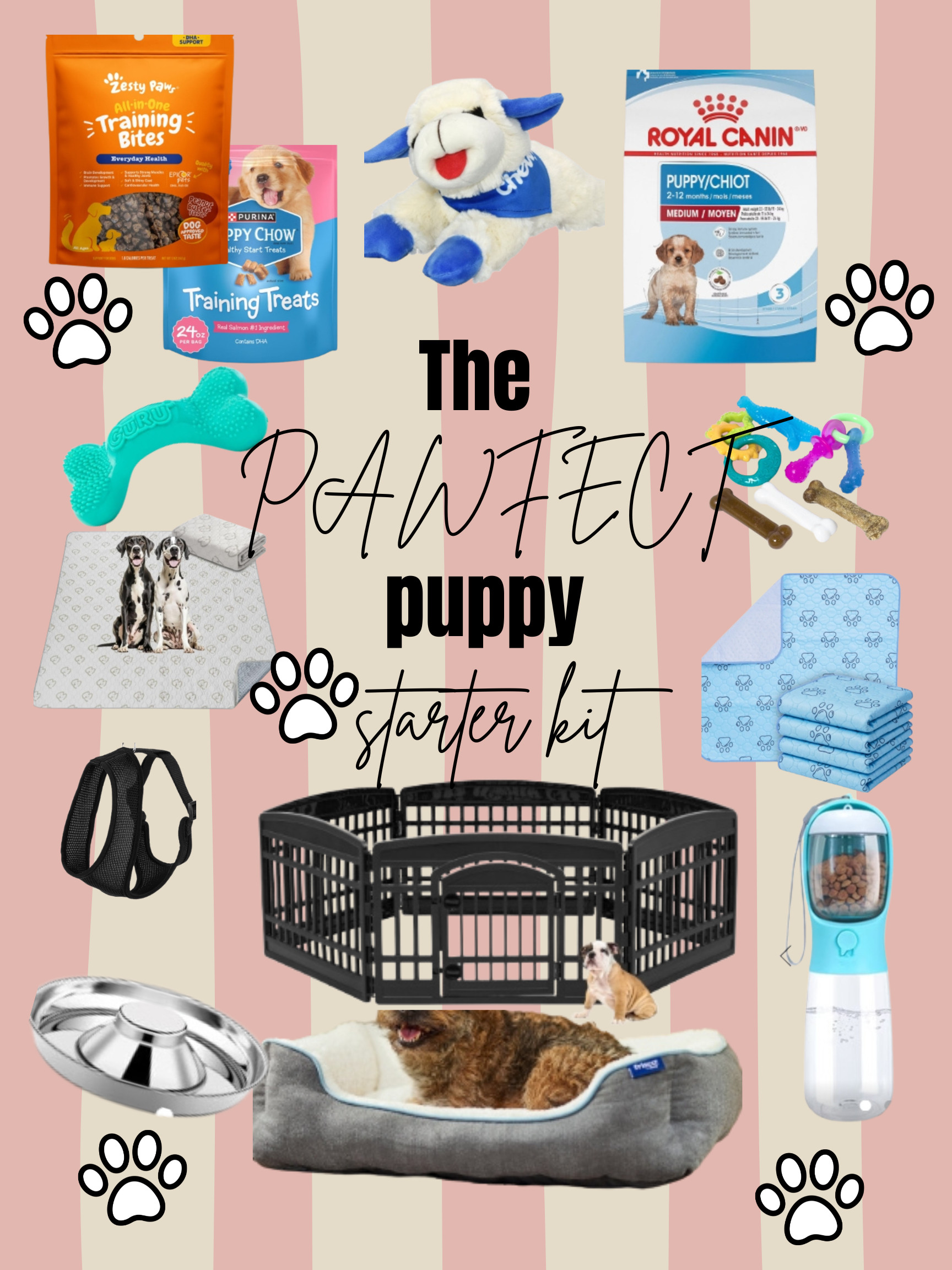 Adding a new fluffy companion to your crew? These are my favorite products for the new furry baby!! 

 #LTKdayinmylife #LTKHome #LTKBaby