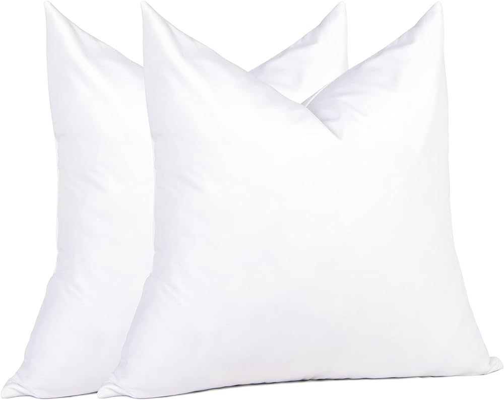 puredown Natural Goose Feather Throw Pillow Inserts 20 x 20 (Set of 2, White), Décor Pillow for ... | Amazon (US)