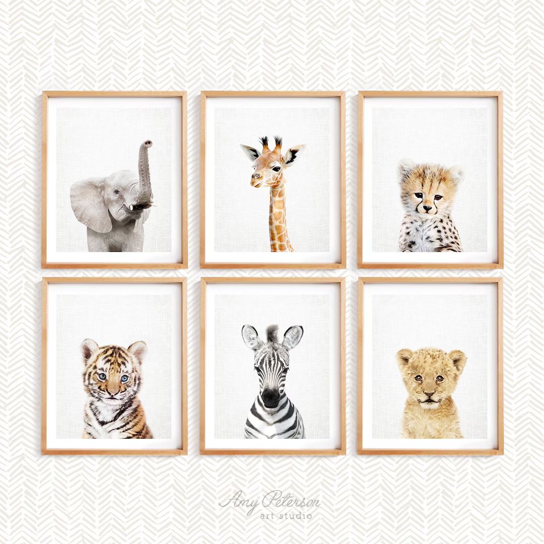 Set of 6 Baby Safari Animals for Nursery Animal Wall Art, Nursery Decor Baby Animal Art by Amy Pe... | Etsy (US)