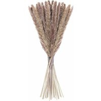 GDRHVFD 20 pcs Pampas Grass, 60 cm Natural Pampas Grass Dried Flower Bouquet for Vases, Boho Decorat | ManoMano UK