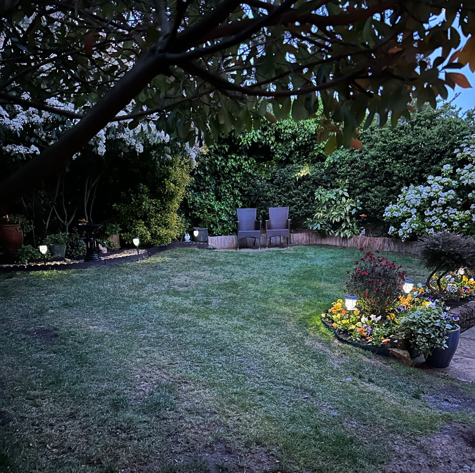 Garden / Solar Lights 

#garden #solarlights #homedecor 

#LTKhome #LTKuk #LTKspring
