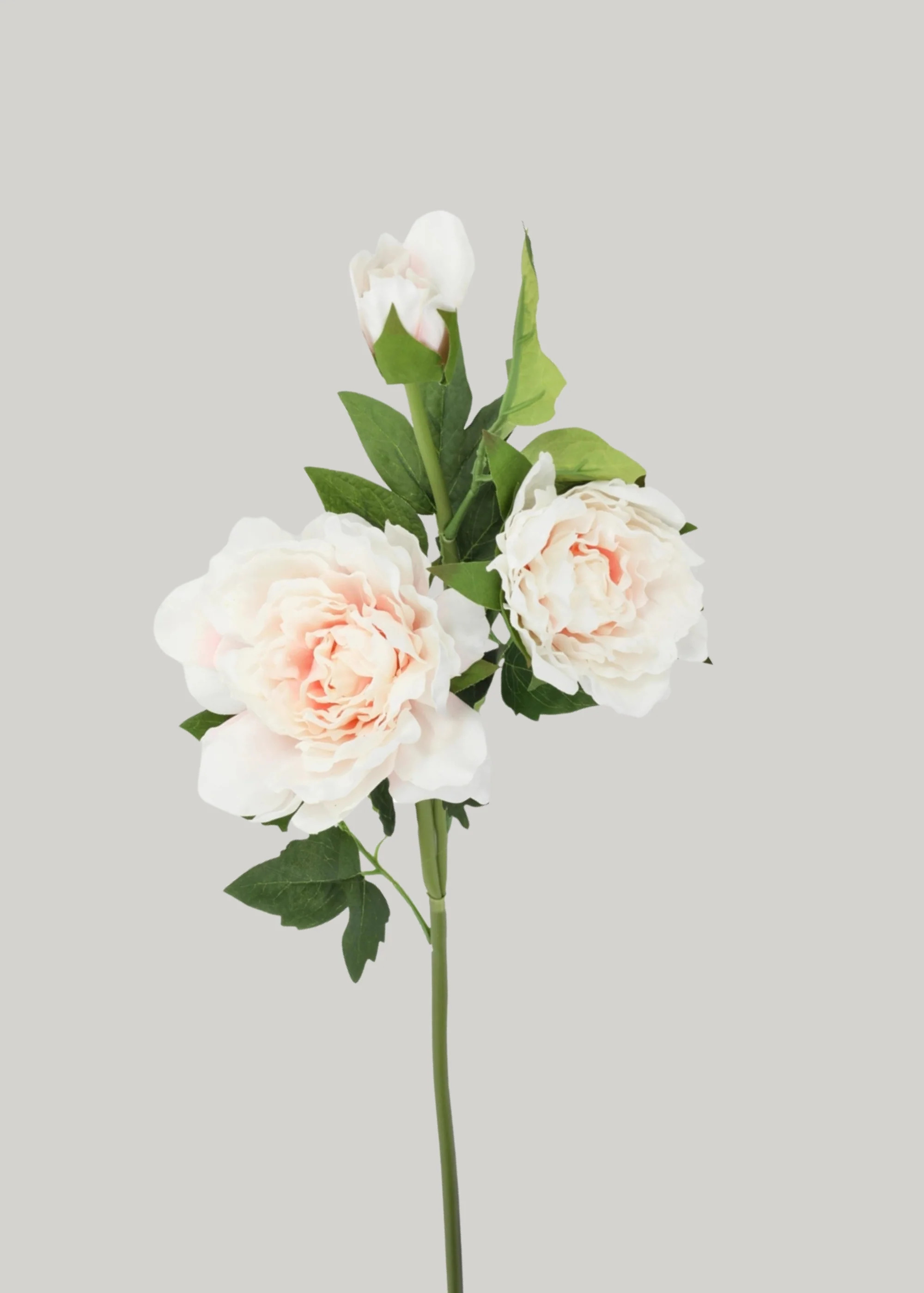 Soft Pink Real Touch Peony | Nature-Inspired Faux Flowers | Afloral | Afloral