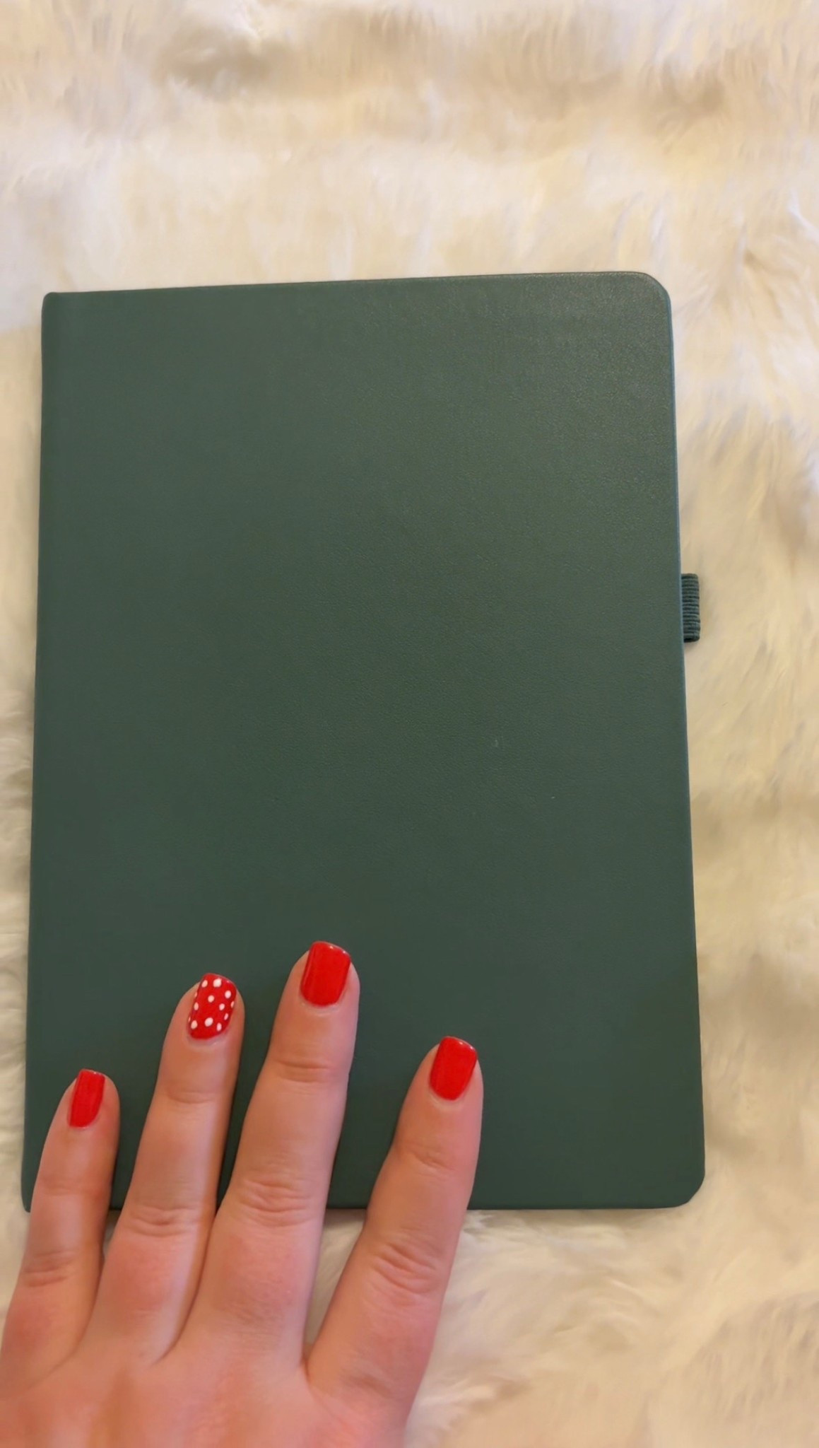 I love the color selection for this A5 journal. I choose 165 dotted, but they have lined as well and lots of colors to choose from. It comes with stickers, has two bookmarks inside, and a pen holder. 

#LTKGiftGuide #LTKHome #LTKFindsUnder50