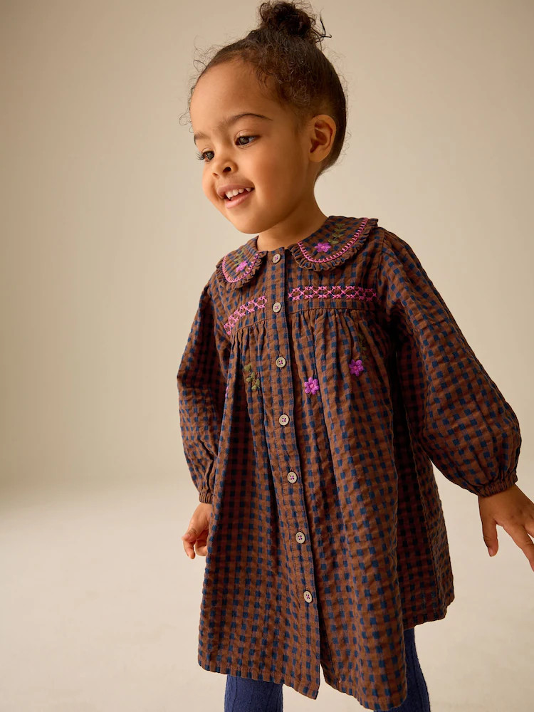 Chocolate Brown Embroidered Check Collar Dress (3mths-8yrs) | Next US