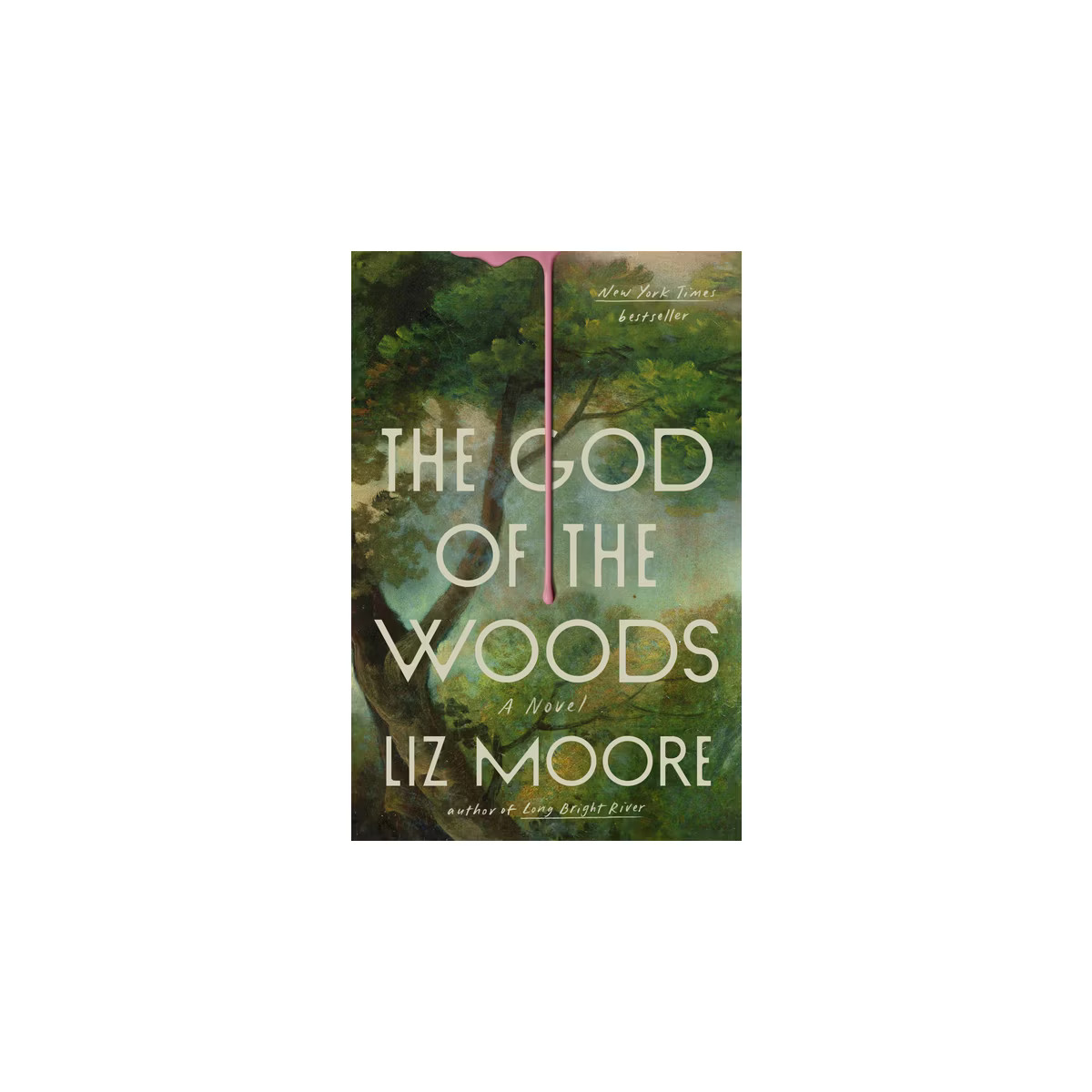 The God of the Woods - by  Liz Moore (Hardcover) | Target