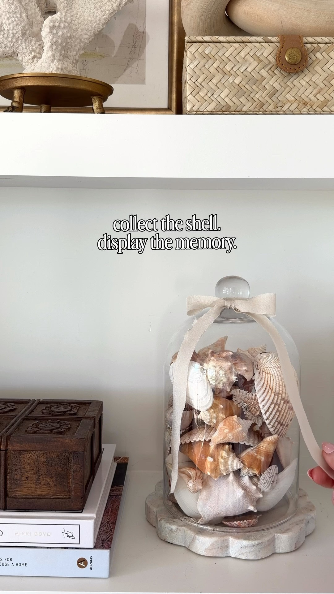 Display your favorite seashells in a glass cloche. Who says they are only for the holidays.

#LTKdayinmylife #LTKSeasonal #LTKHome