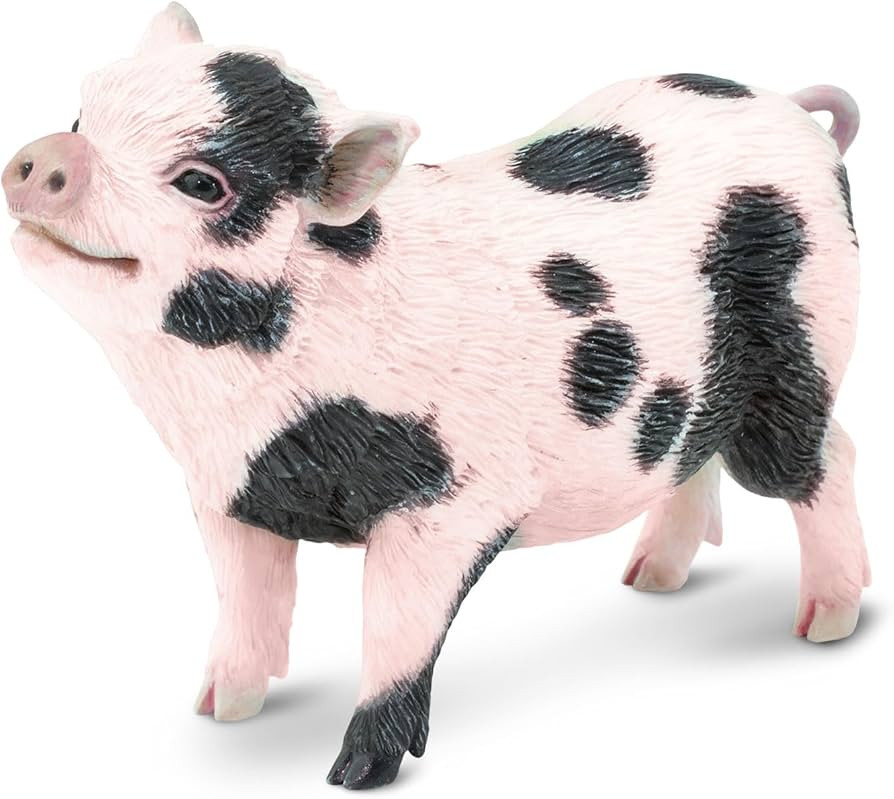 Safari Ltd. Pot-Bellied Pig Figurine - Detailed 5.25" Model Figure - Educational Toy for Boys, Gi... | Amazon (US)