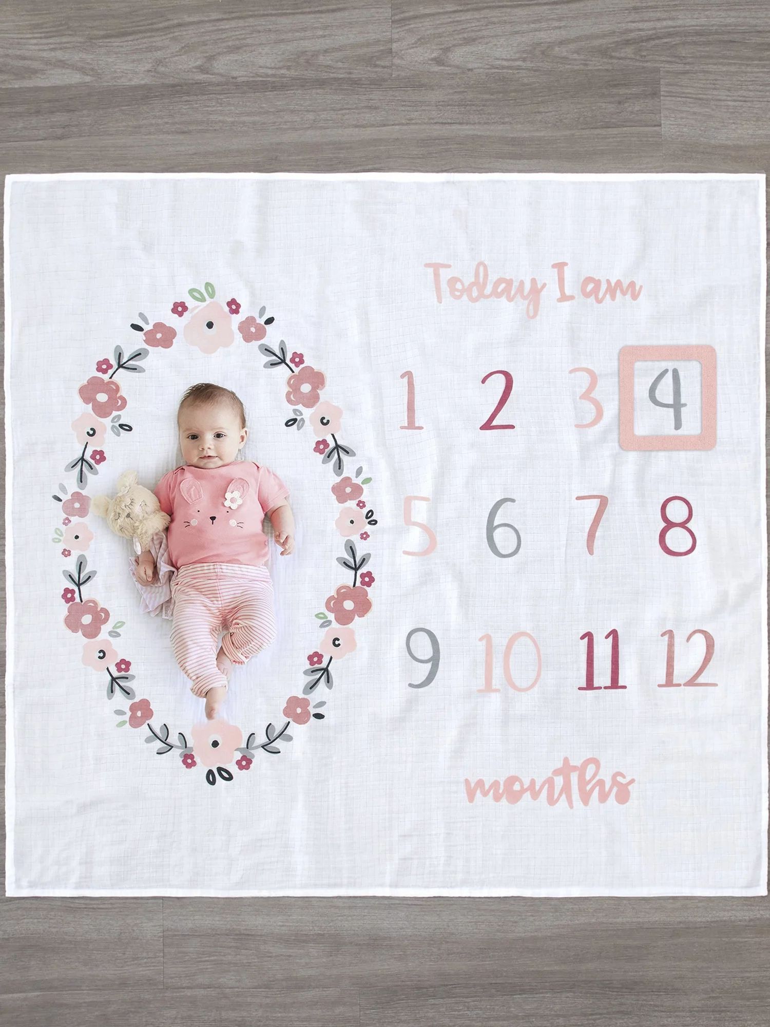 Gerber Baby Girl Milestone Blanket & Frame Set, 2-Piece | Walmart (US)