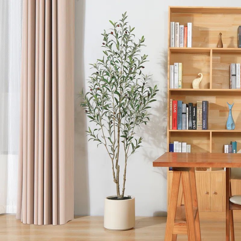 Adcock Faux Olive Tree in White Planter, Lifelike Fake Olive Plant for Indoor and Outdoor Decor | Wayfair North America