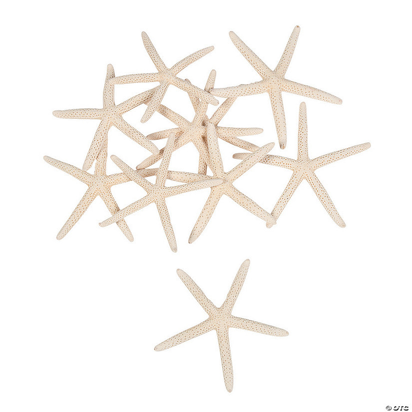 Natural Bleached Finger Starfish - 12 Pc. | Oriental Trading Company