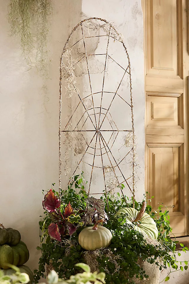 Iron Spiderweb Trellis | Anthropologie (US)