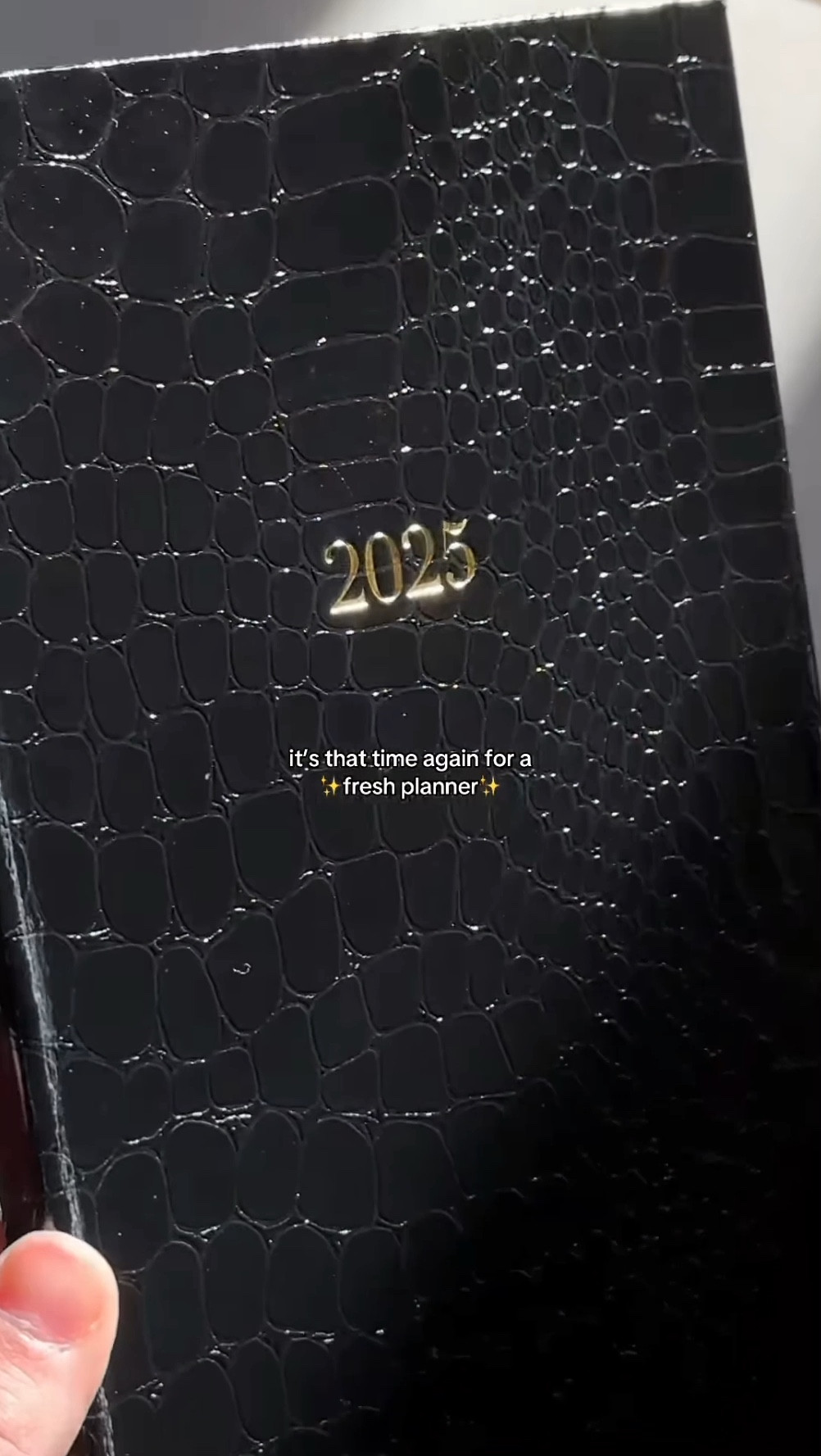 The prettiest crocodile planner you’ve ever seen for 2025✨ 