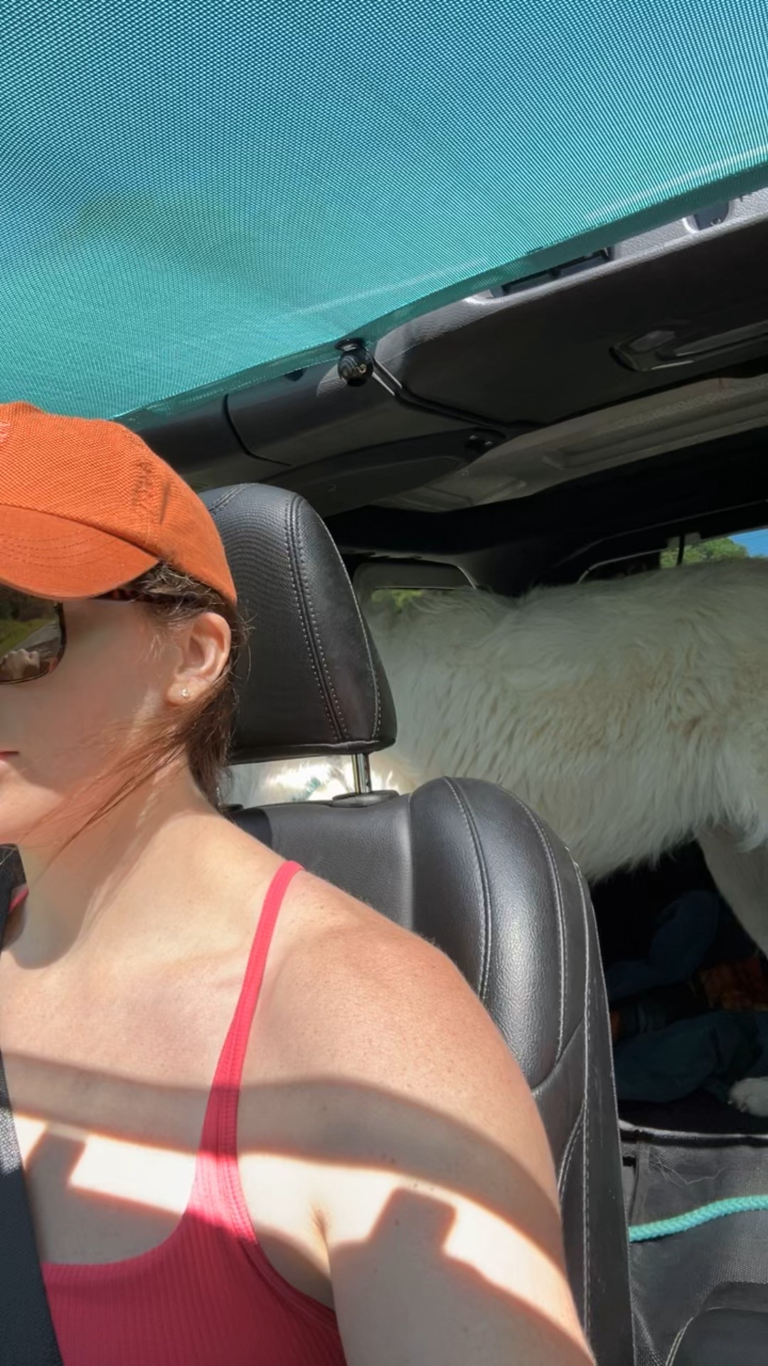 Jeep SHADE on Amazon! Perf for when you want to take the top off but still need shade ☀️ #jeeplove #summerfavs

#LTKHoliday #LTKGiftGuide