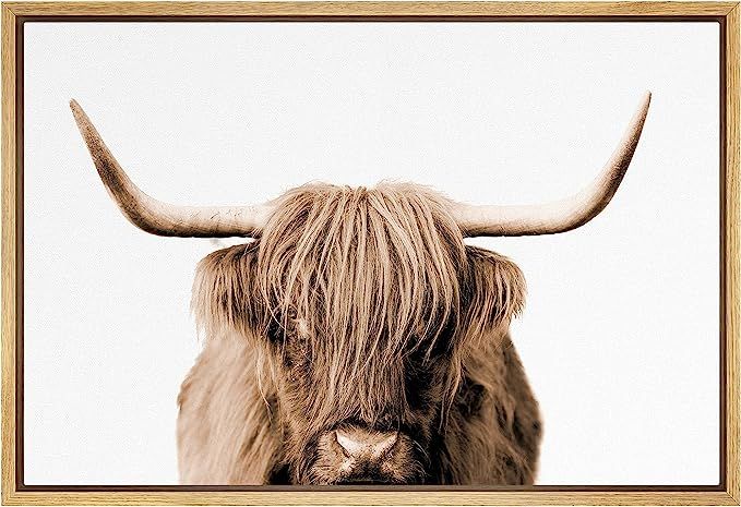 SIGNLEADER Framed Canvas Print Wall Art Brown Full-Frame Closeup of Shetland Cow Animals Wilderne... | Amazon (US)