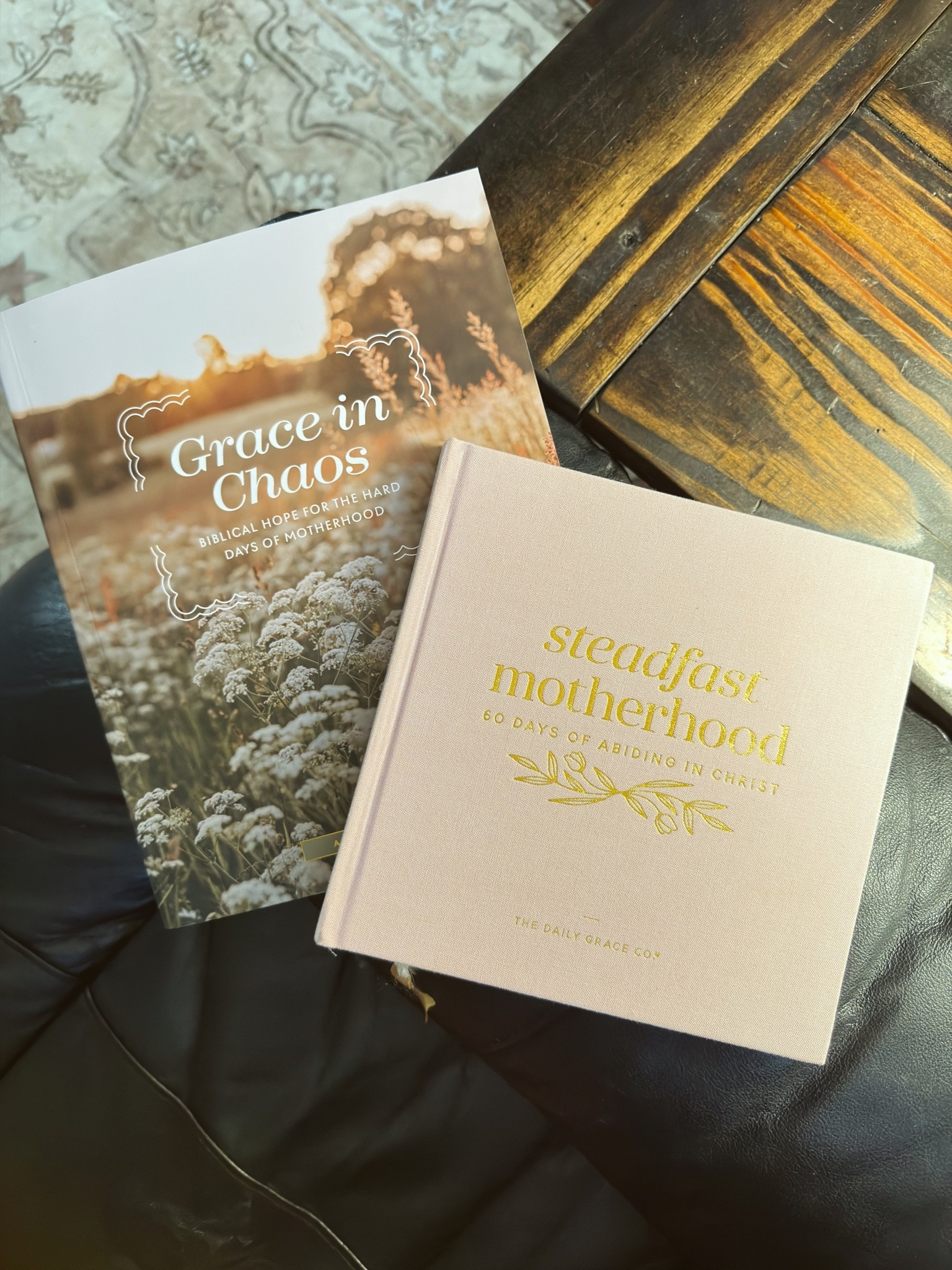 Finishing up Steadfast Motherhood (10/10) & about to begin Grace in Chaos 🤍

#LTKmomlife #LTKselfcare #LTKdayinmylife