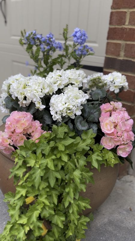 Loveeee my faux flowers!  The pink begonias and white geraniums are artifical. 🤫 





Amazon floral, flowers, planters, garden and patio 

#LTKhome #LTKSeasonal #LTKfindsunder50