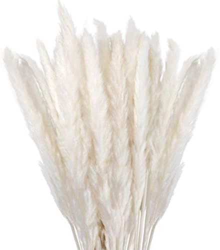 Natural Dried Pampas Grass, White, 30 Stems Bundle for Home Decor - 17 inch | Amazon (US)