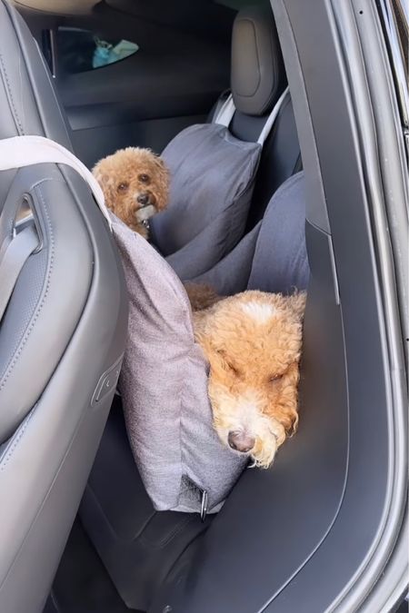 The dogs have loved these car dog beds so much. Keeps them from roaming around as much too! 

#LTKfamily