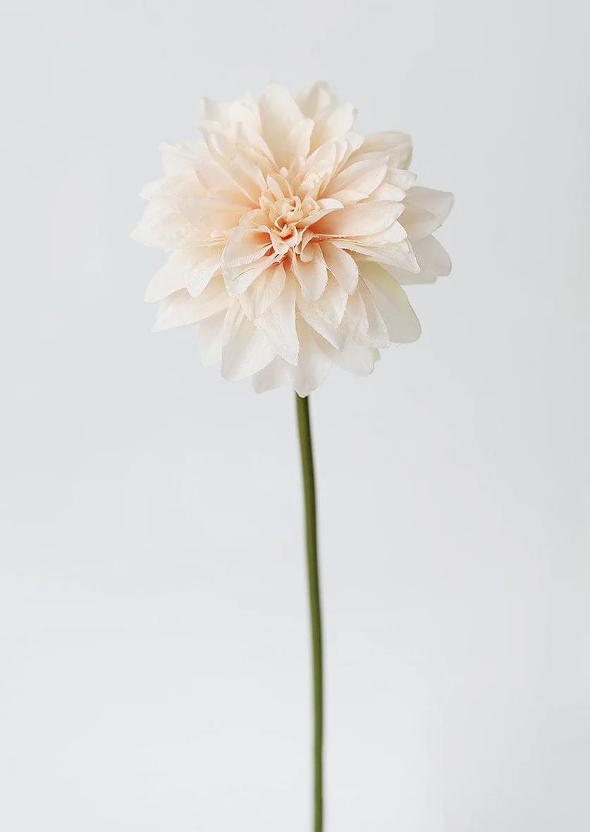 Blush Peach Dahlia Silk Flower - 19" | Afloral (US)