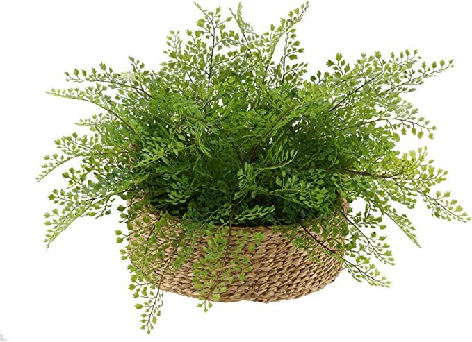 House of Silk Flowers Faux Fern in Seagrass Tray Basket (Maidenhair Fern) | Amazon (US)