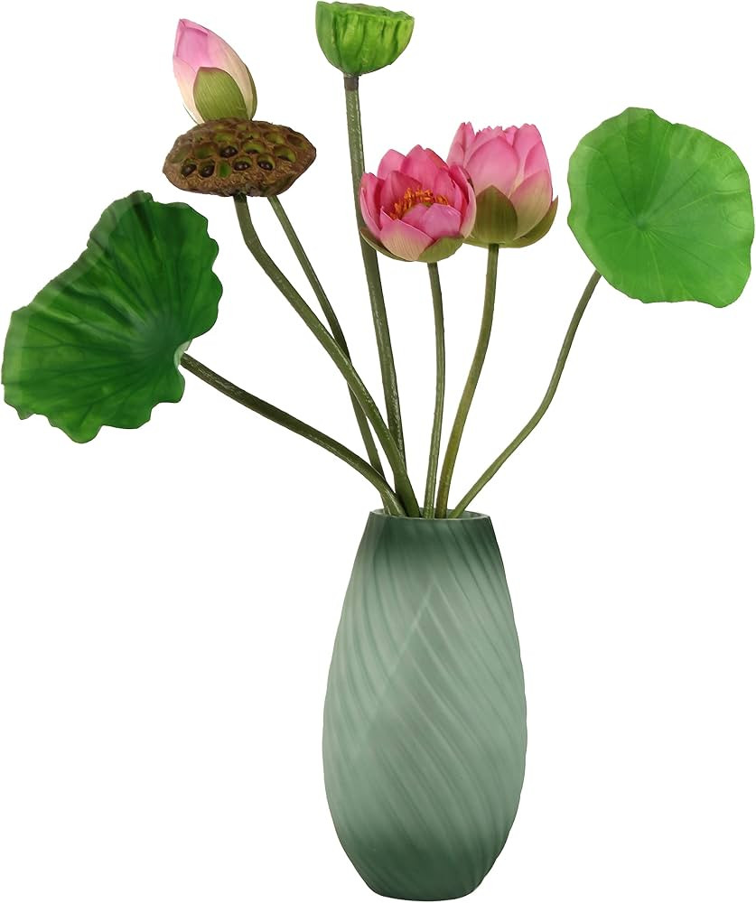 cn-Knight Artificial Lotus Flowers,from 24 to 31 Inch 7pcs Stems Lotus Plants Including Lotus Blo... | Amazon (US)