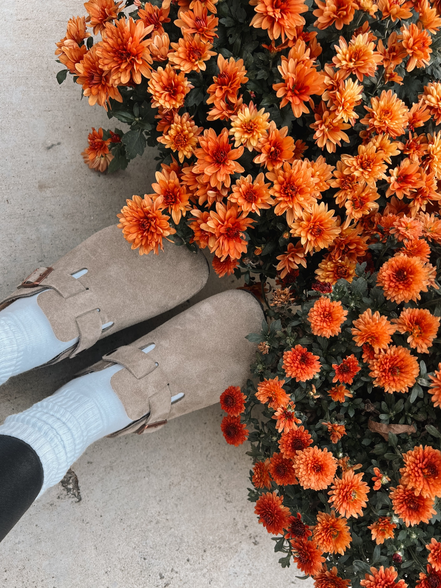 Found my taupe birks in stock! They run tts. I wear size 40 (9 in US sizing)

Fall shoes, Birkenstock clogs, fall aesthetic

#LTKshoecrush