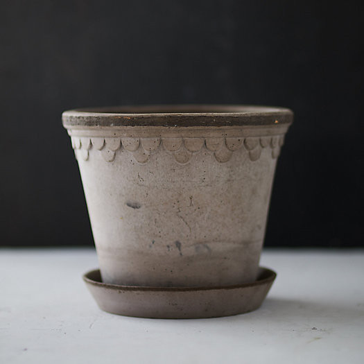 Bergs Palace Pot + Saucer | Terrain